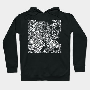 Leaf Veins Hoodie